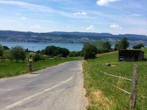 乐鱼体育登陆-“缆绳滑水：东桃花岛赛场呈现全新水上运动魅力”