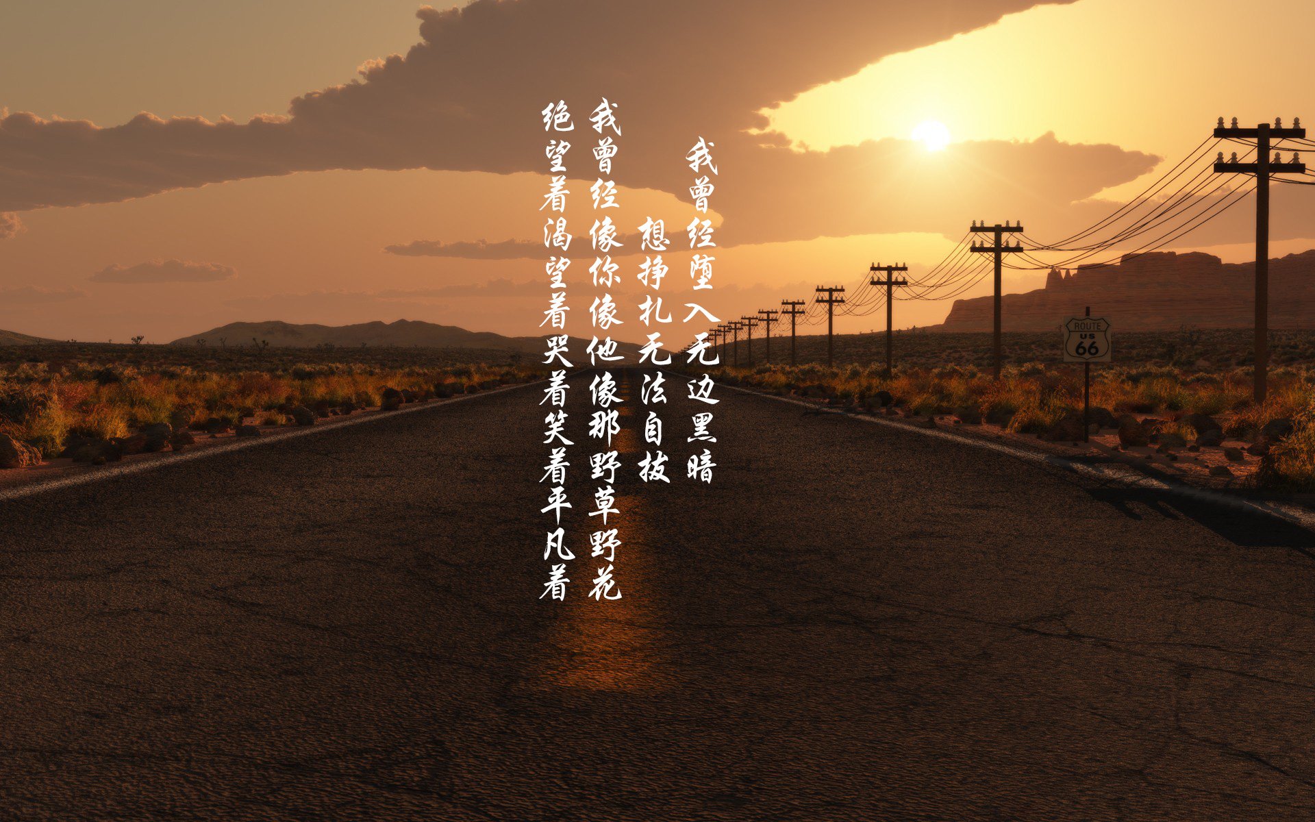 东亚杯中国足球夺冠 球员拼搏精神获赞,中国队东亚杯冠军