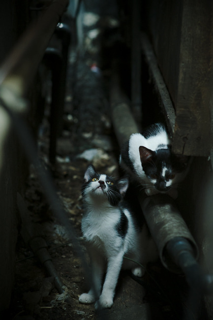 乐鱼官网优惠-中国女篮出征欧洲拉练 提升国际比赛经验，中国女篮出征亚洲杯