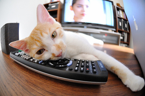 乐鱼体育下载app官网-五大联赛是否建立压迫反压迫阶段的组织结构对抗模板