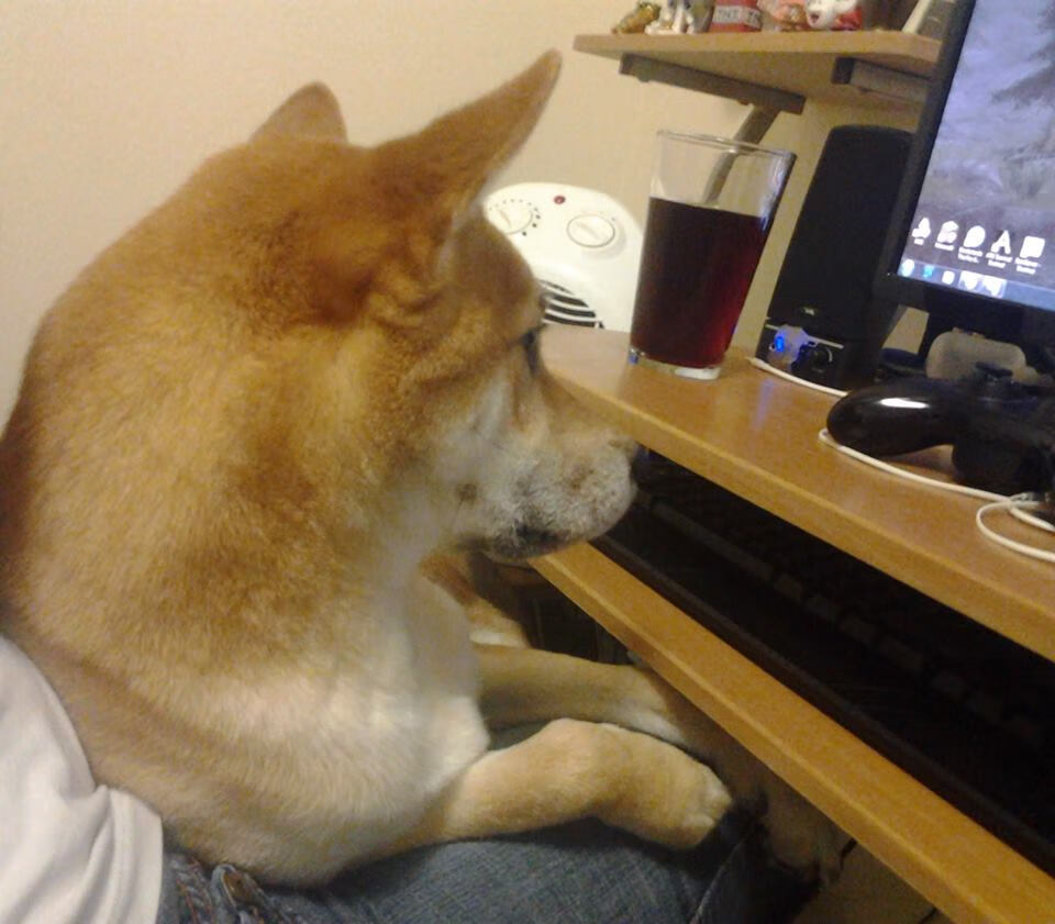 乐鱼官网优惠-关键区域进攻谁敢冲谁敢投，关键区域进攻谁敢冲谁敢投什么意思