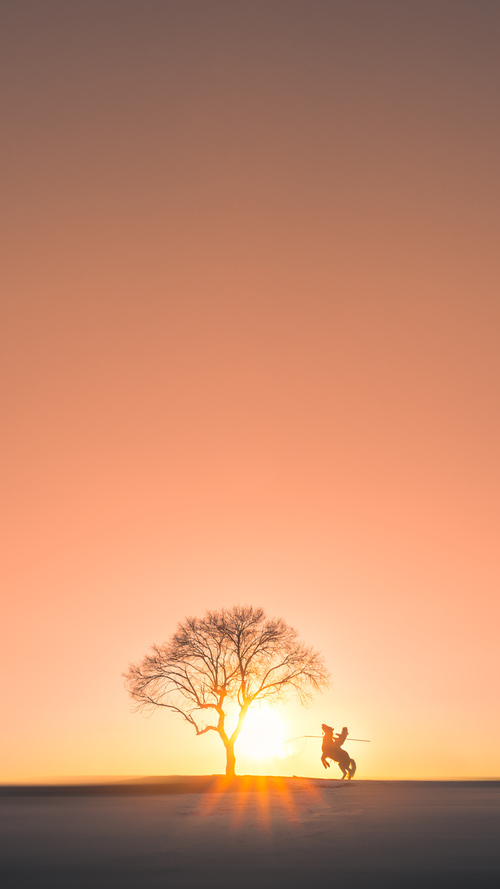 印度队在2024年世界杯赛场上强势崛起的背后故事,印度世界杯退赛