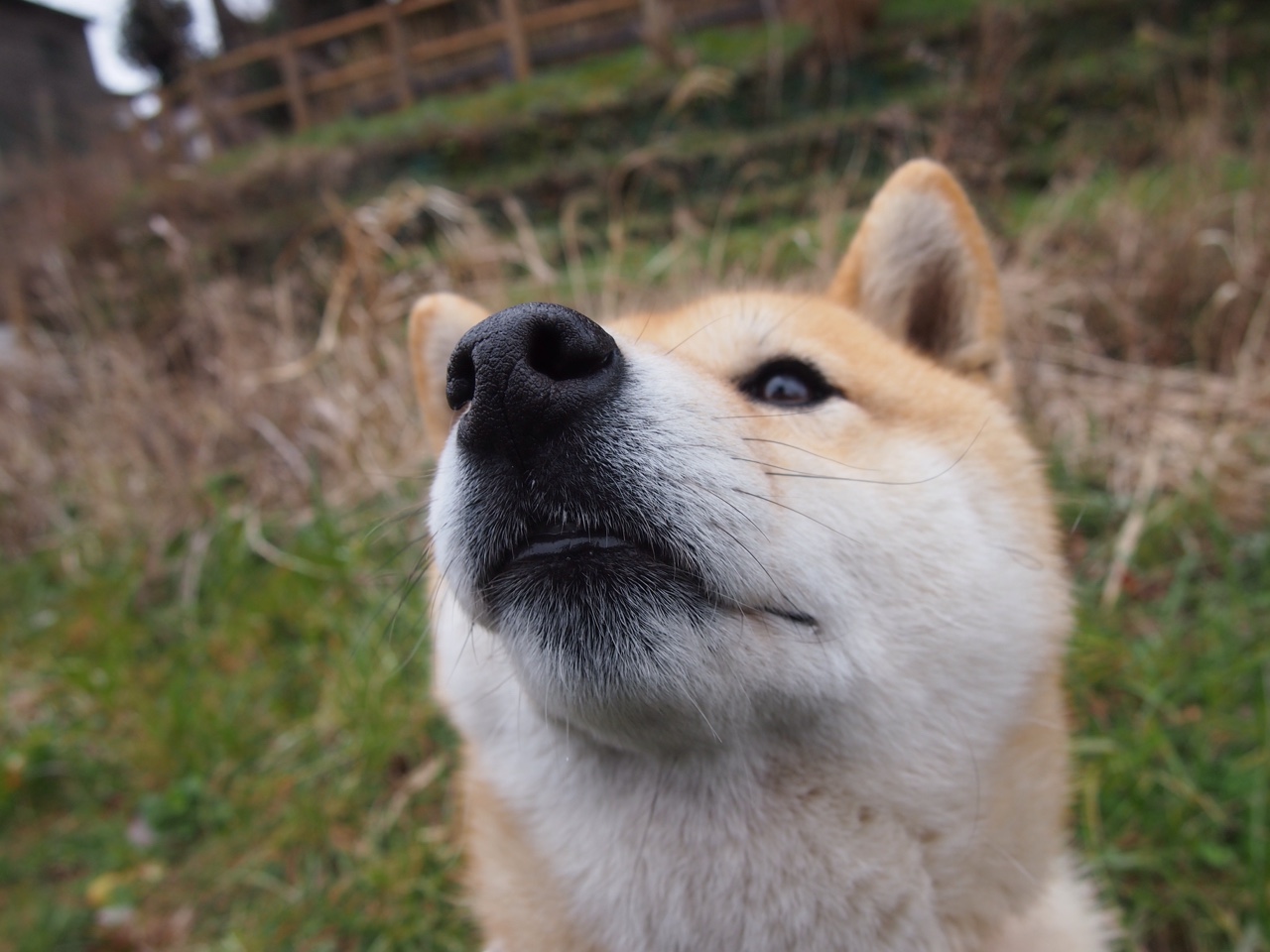 中国足球管理机制改革试图摆脱行政干预痕迹，足球改革20多年来,几位足球管理中心