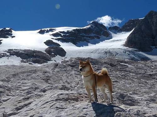 中超联赛本周末重燃战火，中超联赛2021揭幕战