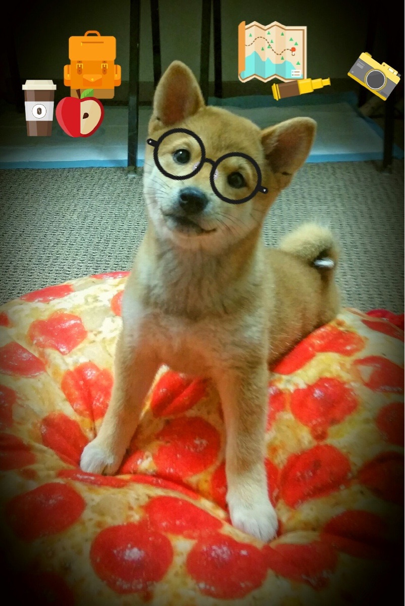 乌干达女篮在非洲锦标赛中奋战不止，体育水平不断提升，乌干达vs南非