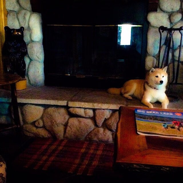 乐鱼体育在线-勇士旧将归队参加退役典礼暖心瞬间，勇士队退役的球员有哪些