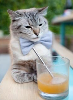 国家拳击协会公布奥运备战保障团队组成情况，奥运拳击强国