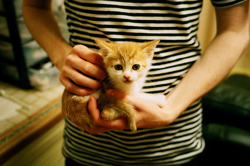 国家队训练重点加强快攻终结和转换防守切换流畅性,完整的快攻战术