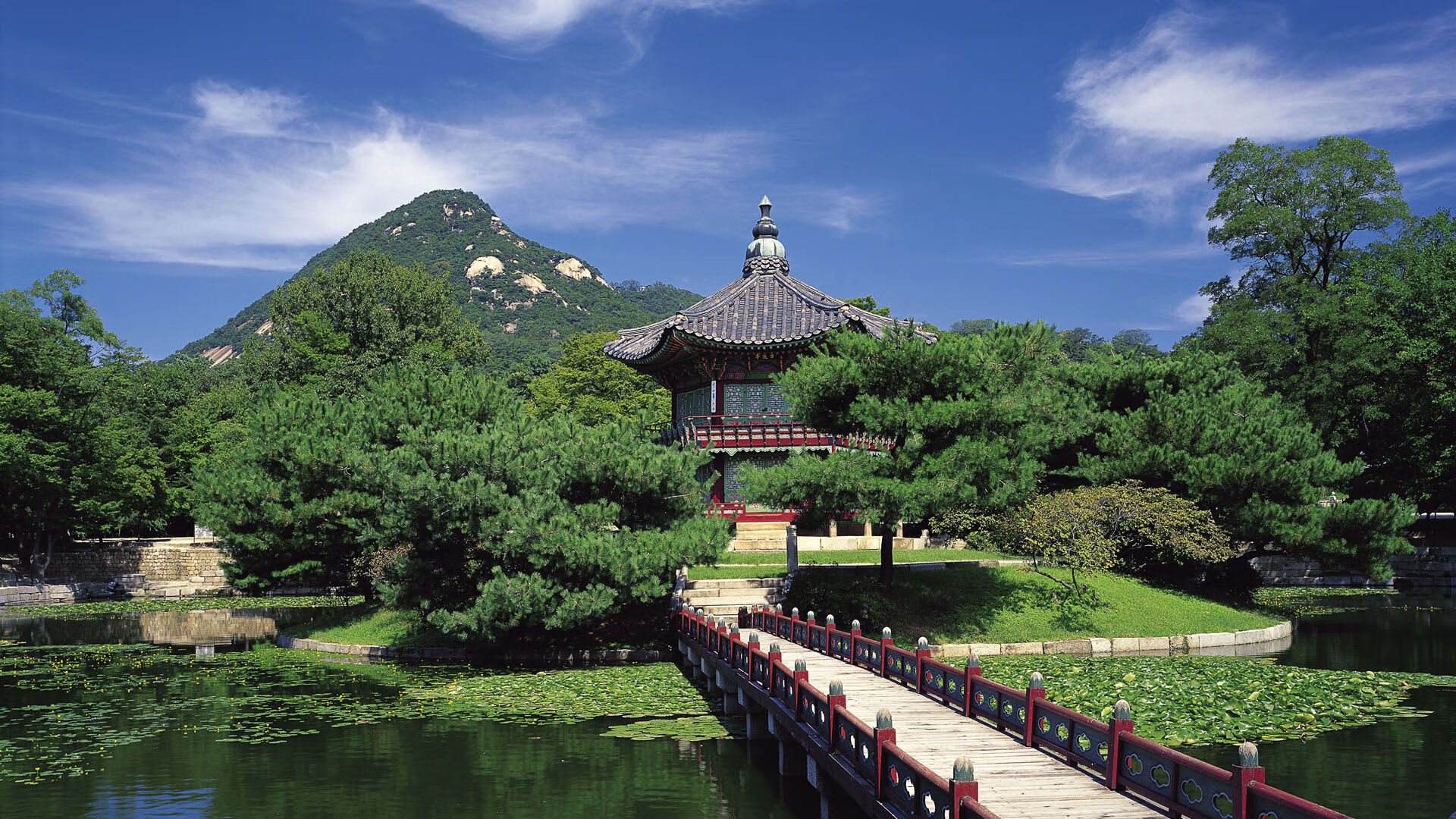 乐鱼体育 vip注册-塞尔维亚女篮在欧洲锦标赛中争夺金牌，展示团队实力，塞尔维亚女篮球