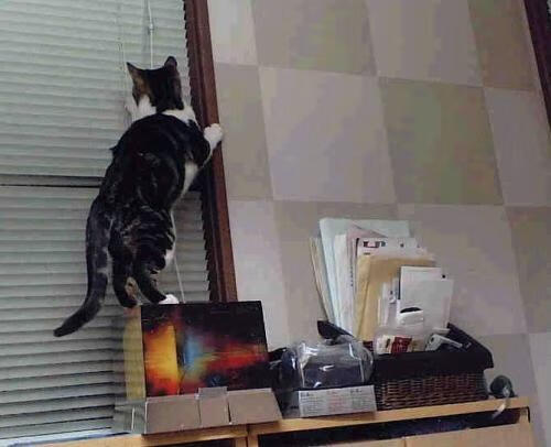 巴西队新锋线组合亮眼,世界杯潜力十足