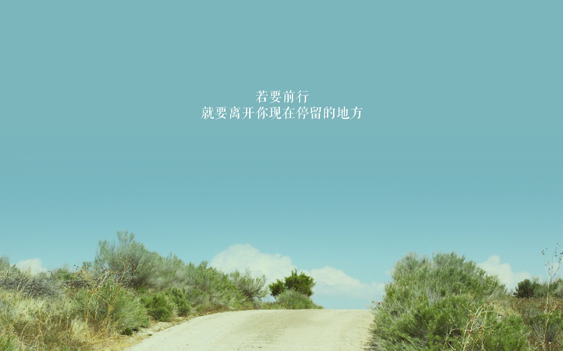 格鲁吉亚女篮在欧洲锦标赛中勇夺冠军,体育实力不断提升,格鲁吉亚女子联赛